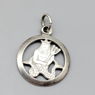 Pendant in Silver S830 1g 17mm