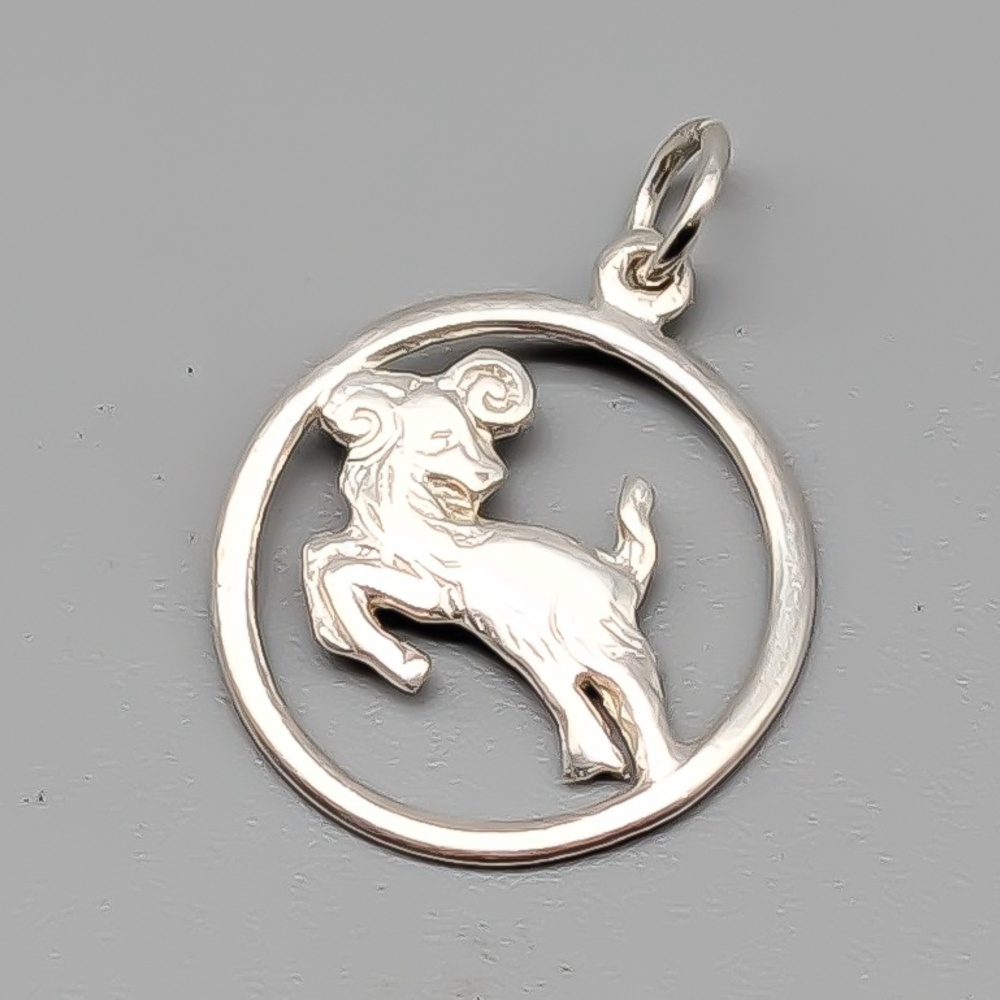 Pendant in Silver Zodiac Sign Capricorn S925 0.79g 17mm
